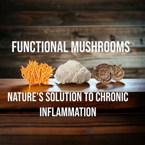 The Fantastic Fungi: Exploring the Otherworldly Power of Mushrooms